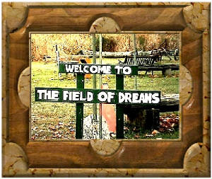 field.jpg