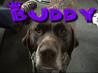 bud.jpg