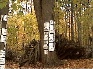 st.jpg